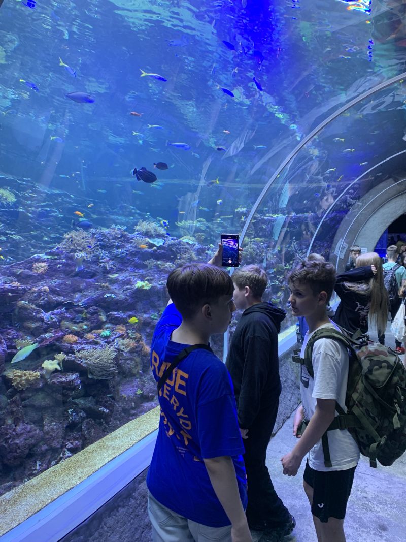 IMG 3694